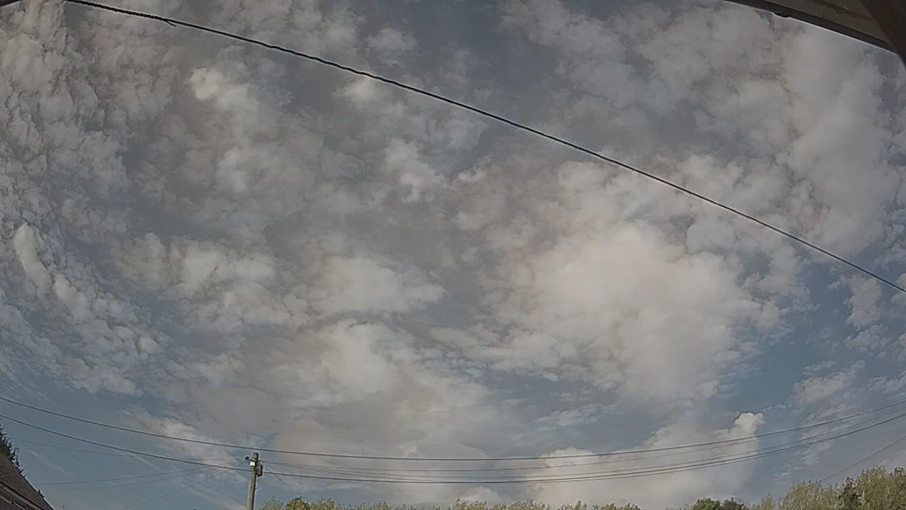 20260815_161055_cam2.jpg