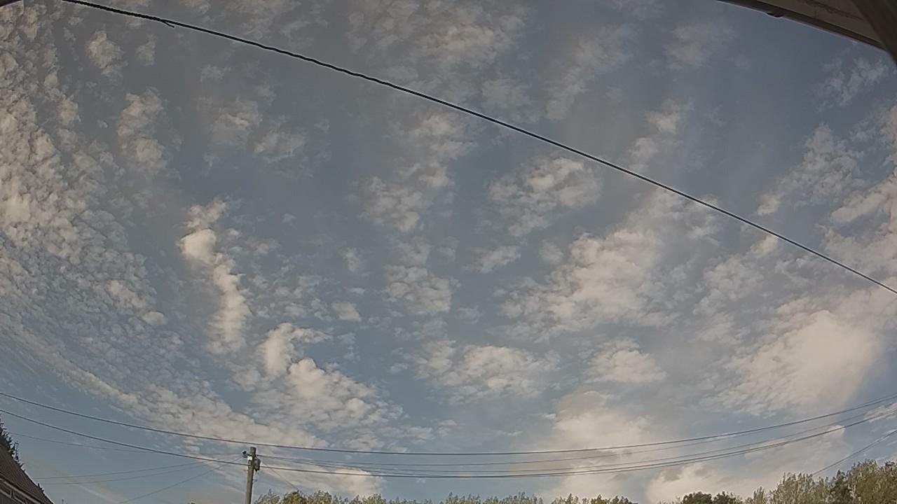 20260815_161820_cam2.jpg