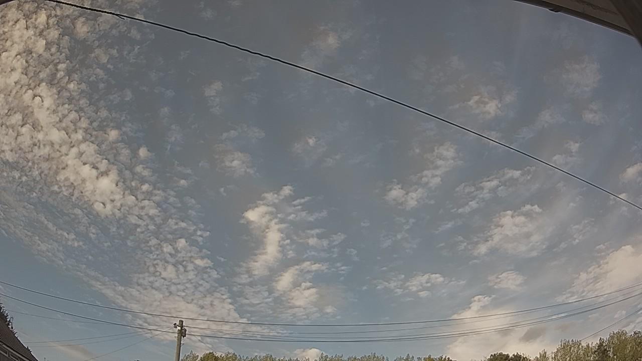 20260815_162202_cam2.jpg