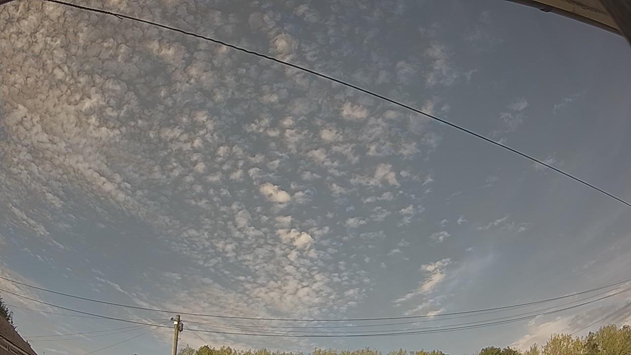 20260815_162918_cam2.jpg