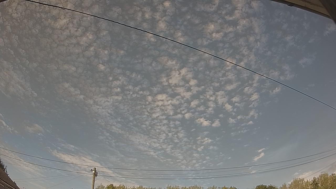 20260815_163251_cam2.jpg