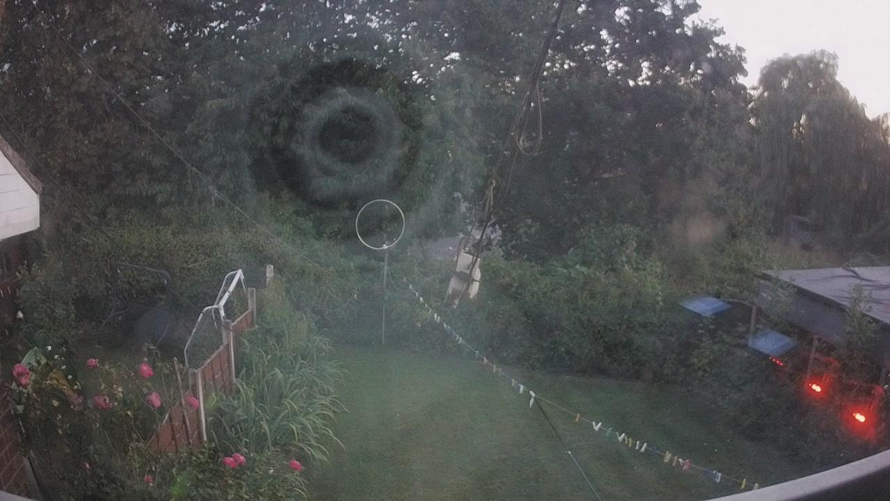 20260815_200259_cam1.jpg