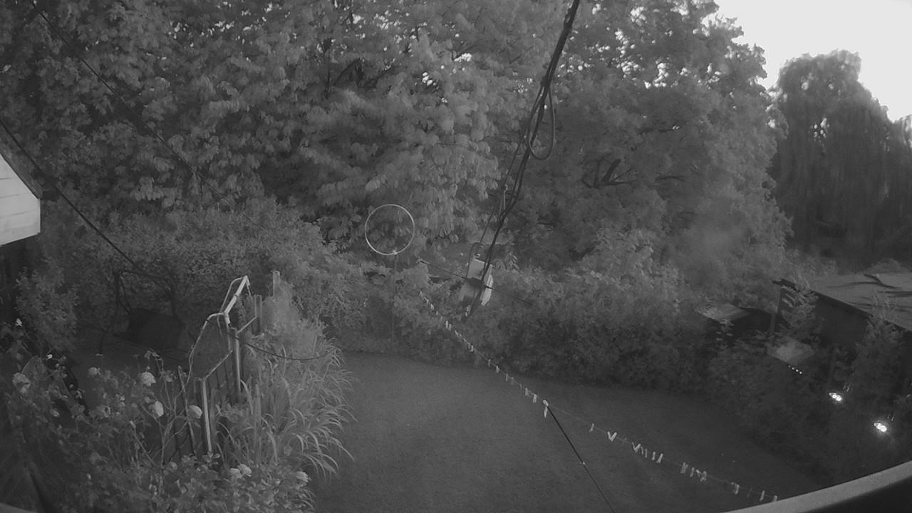 20260815_200708_cam1.jpg