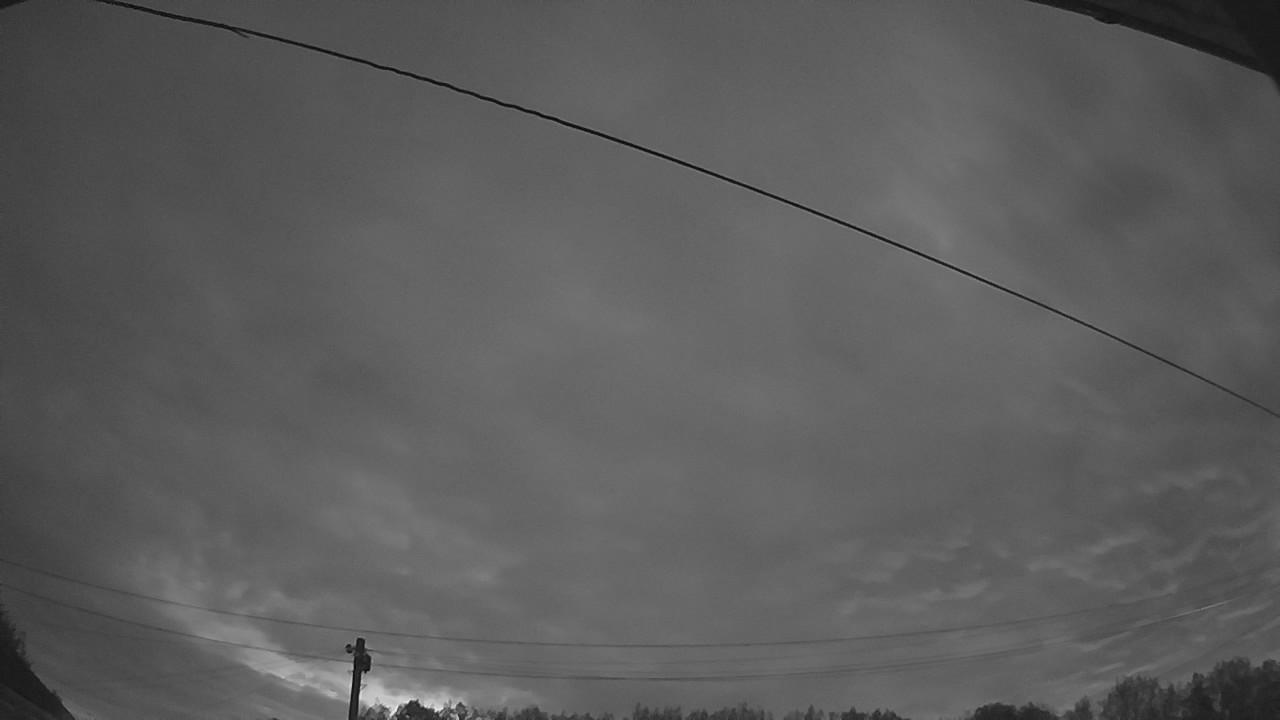 20260816_041131_cam2.jpg
