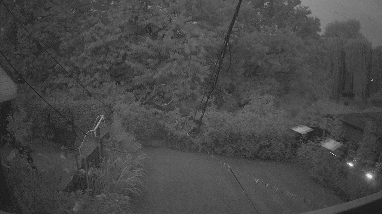 20260816_041625_cam1.jpg