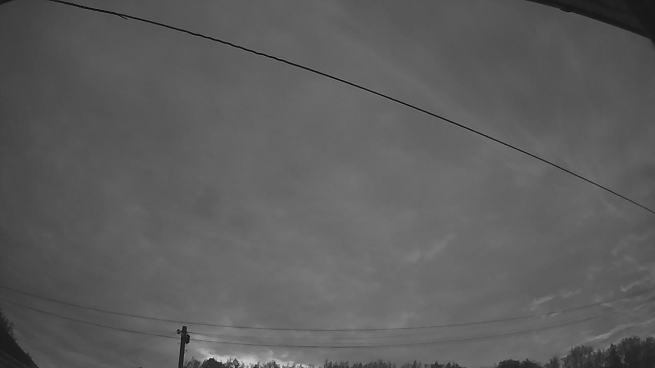 20260816_041626_cam2.jpg