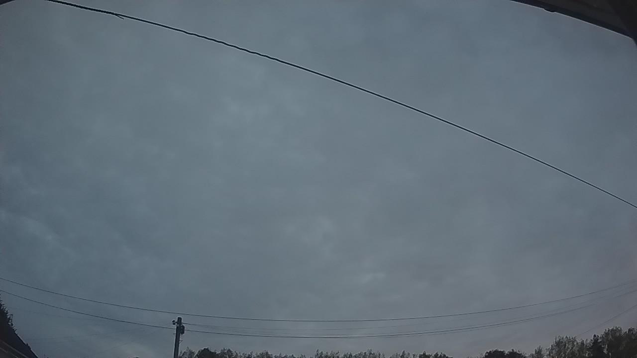 20260816_042613_cam2.jpg