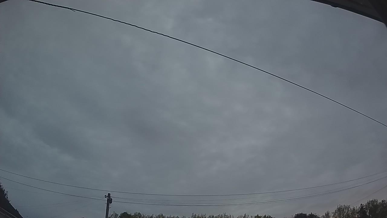 20260816_043107_cam2.jpg