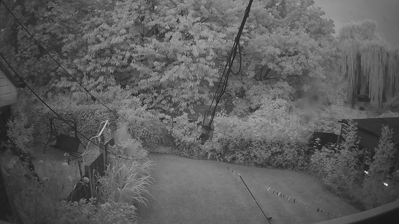 20260816_043601_cam1.jpg