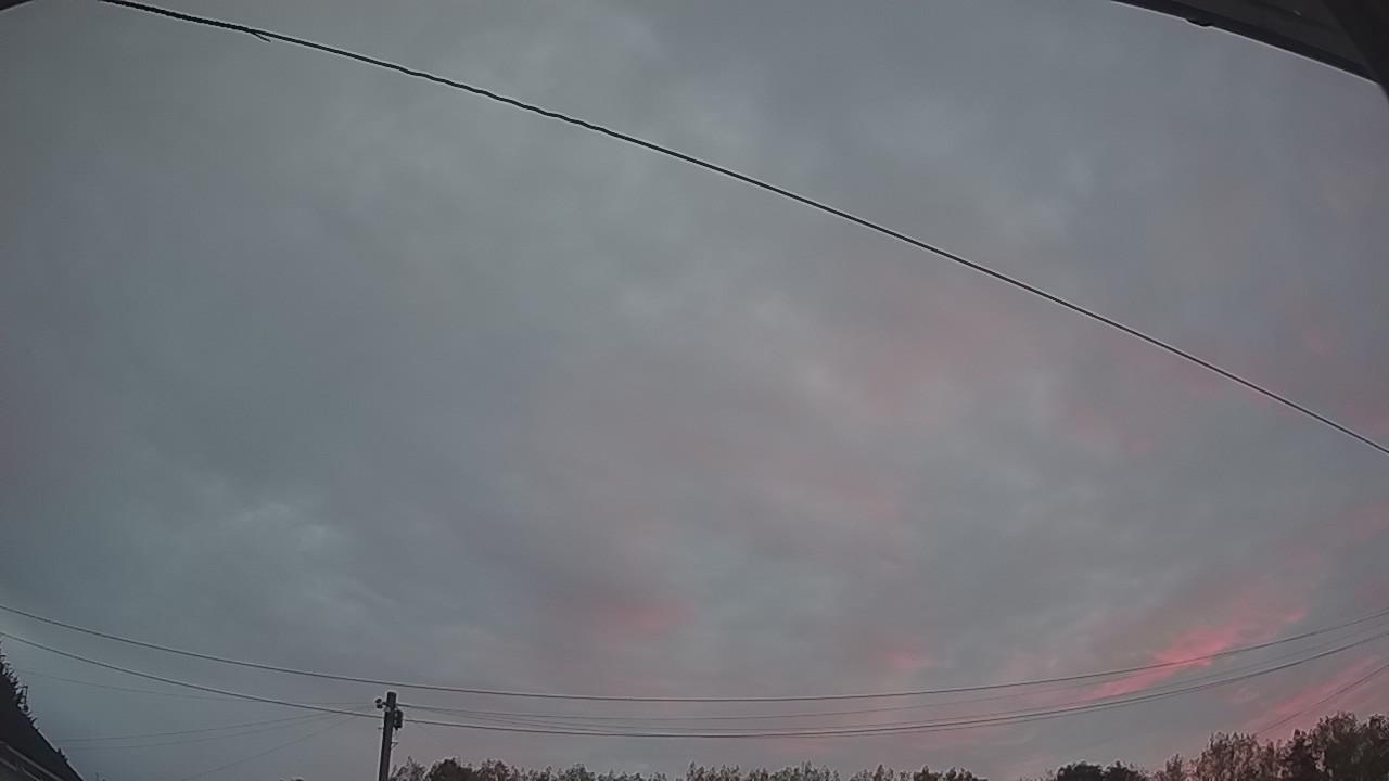 20260816_043602_cam2.jpg