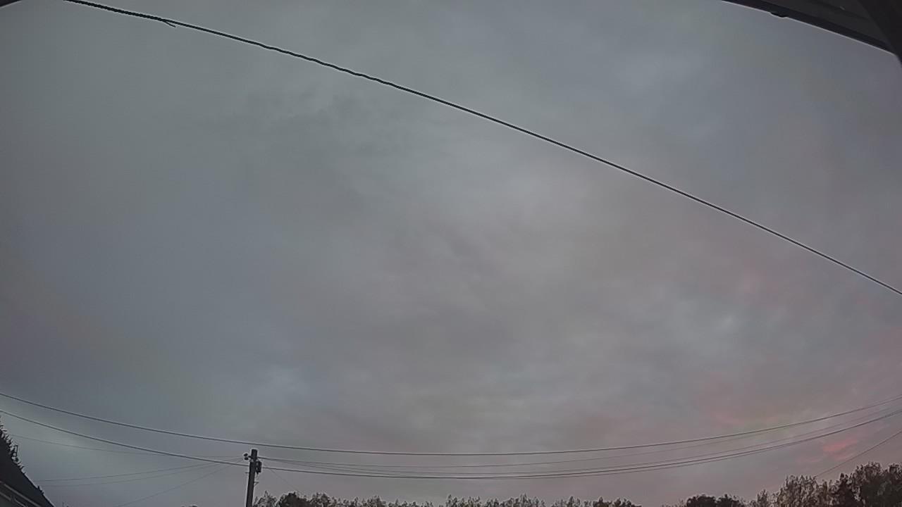 20260816_044056_cam2.jpg