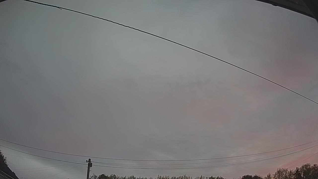 20260816_044549_cam2.jpg