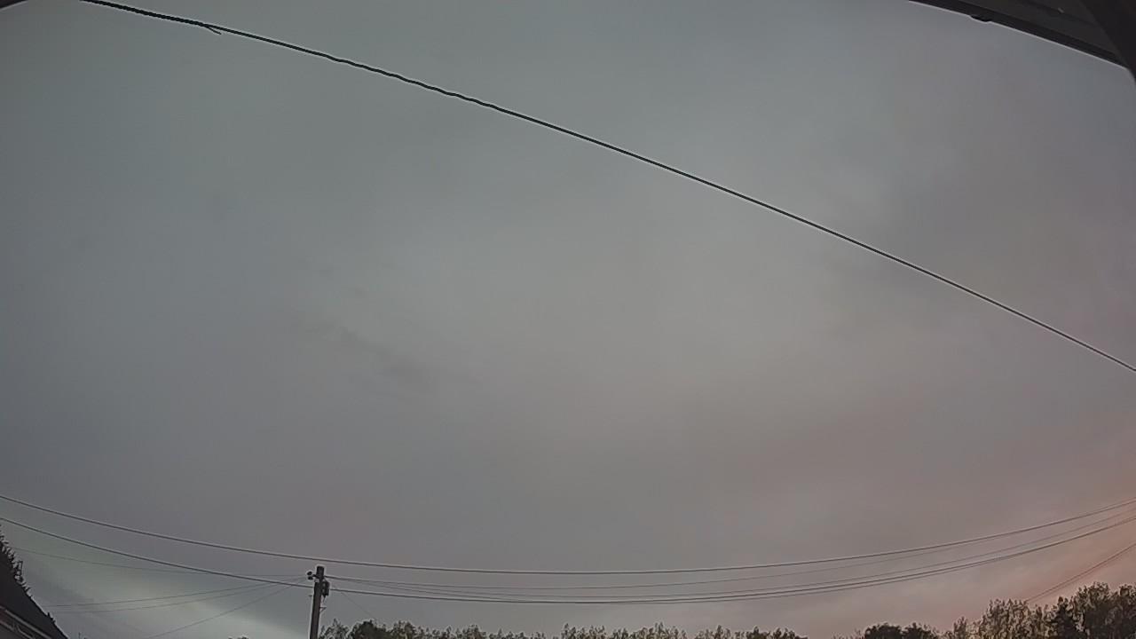 20260816_045042_cam2.jpg