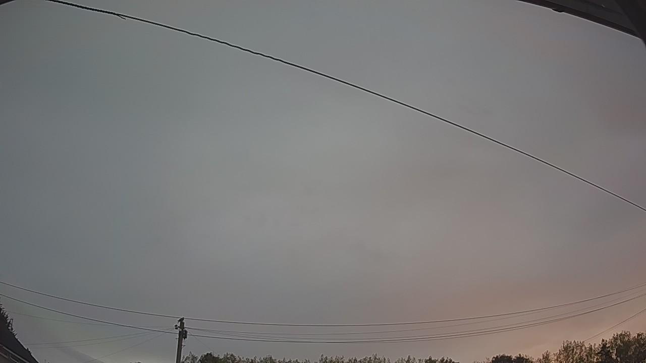 20260816_045536_cam2.jpg