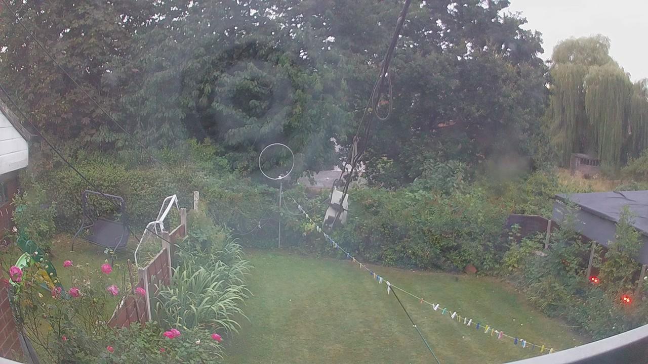 20260816_050949_cam1.jpg