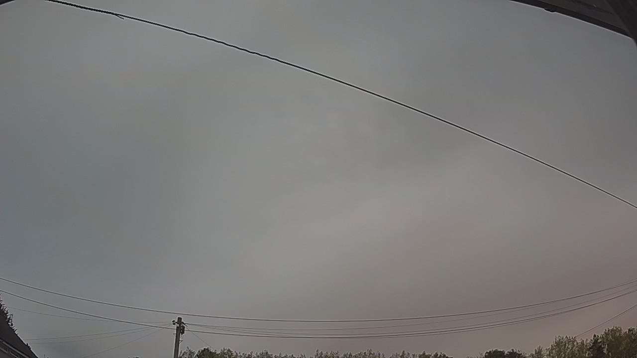 20260816_052403_cam2.jpg