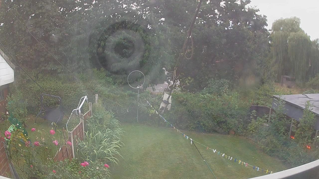 20260816_052848_cam1.jpg
