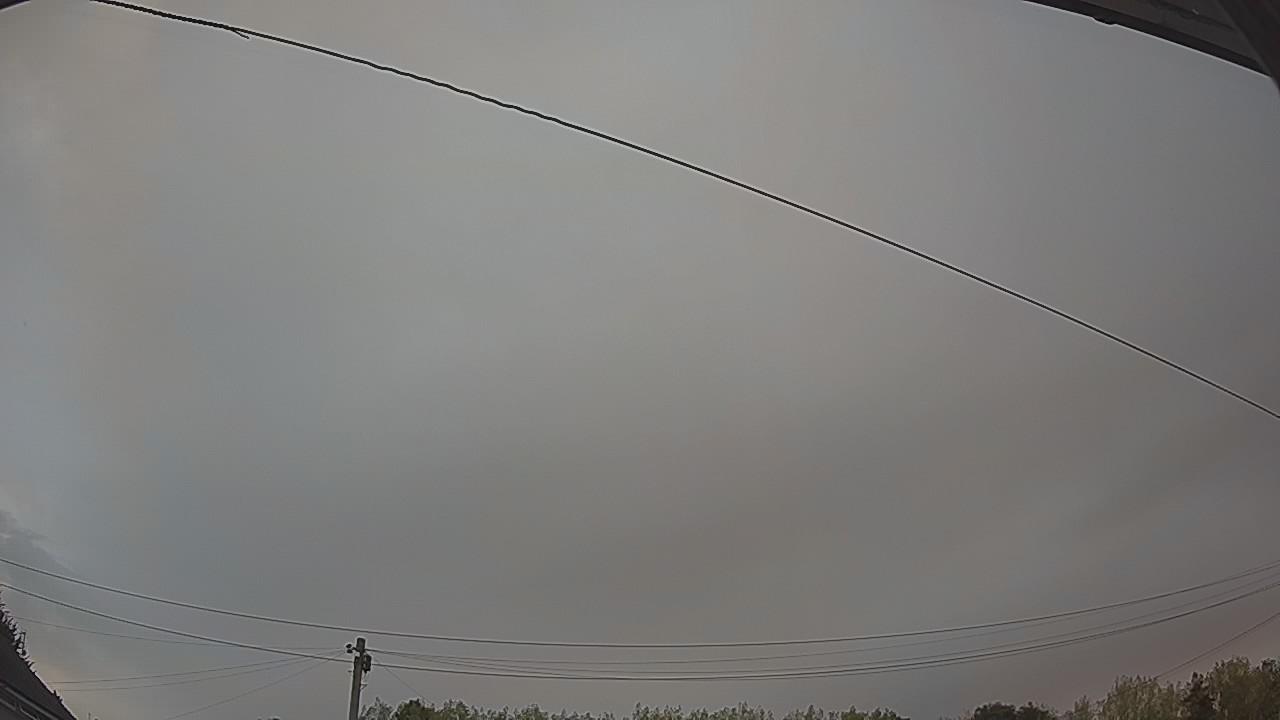 20260816_052849_cam2.jpg