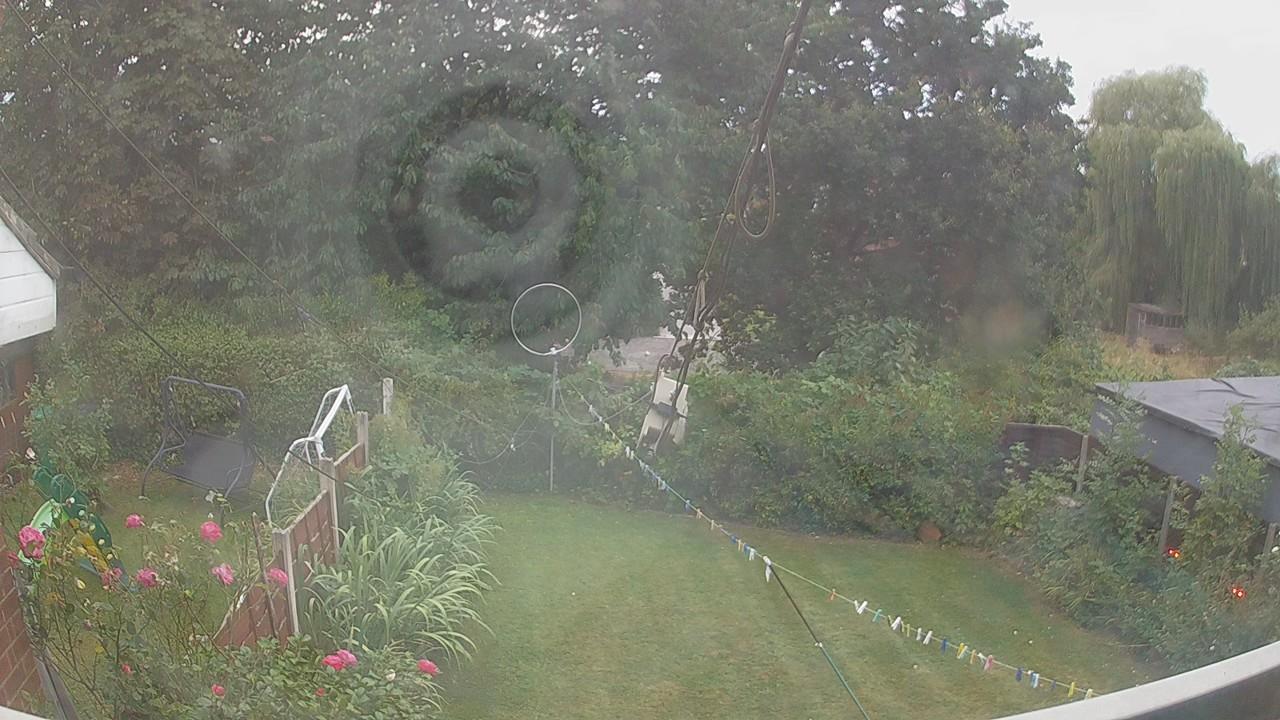 20260816_053342_cam1.jpg