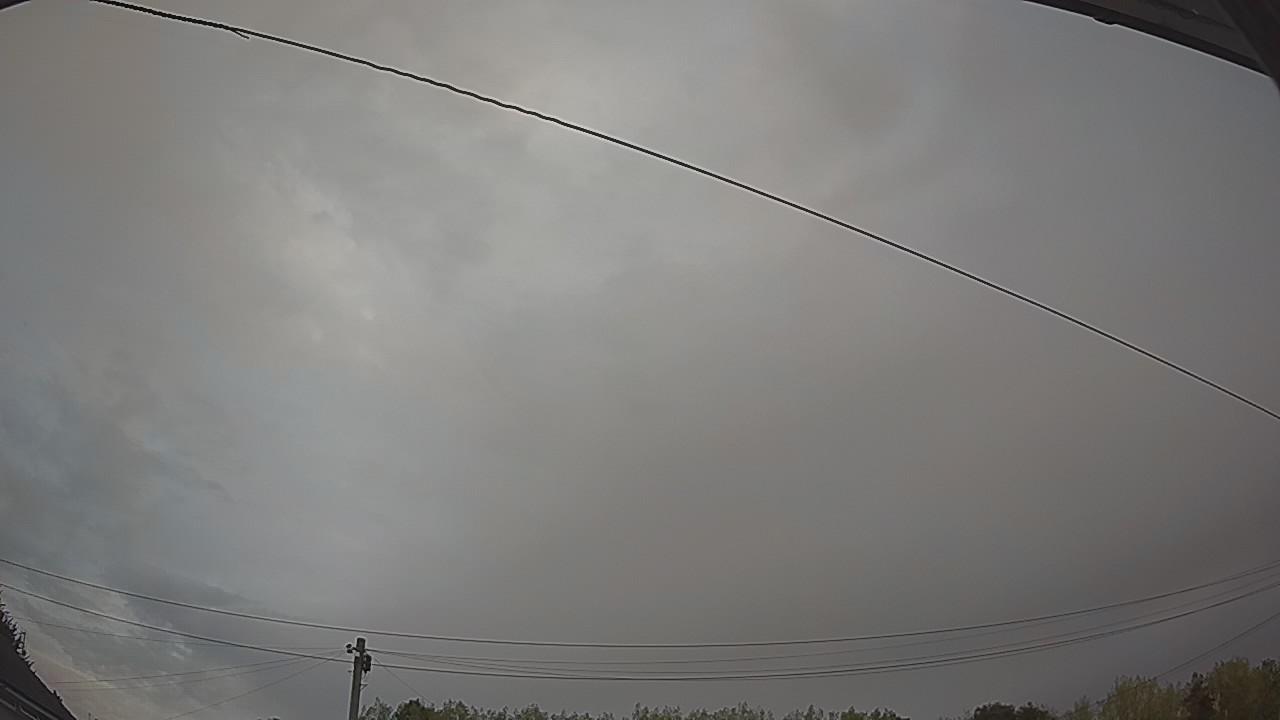 20260816_053343_cam2.jpg