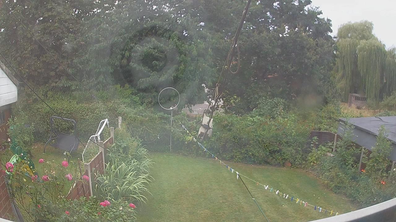 20260816_053836_cam1.jpg