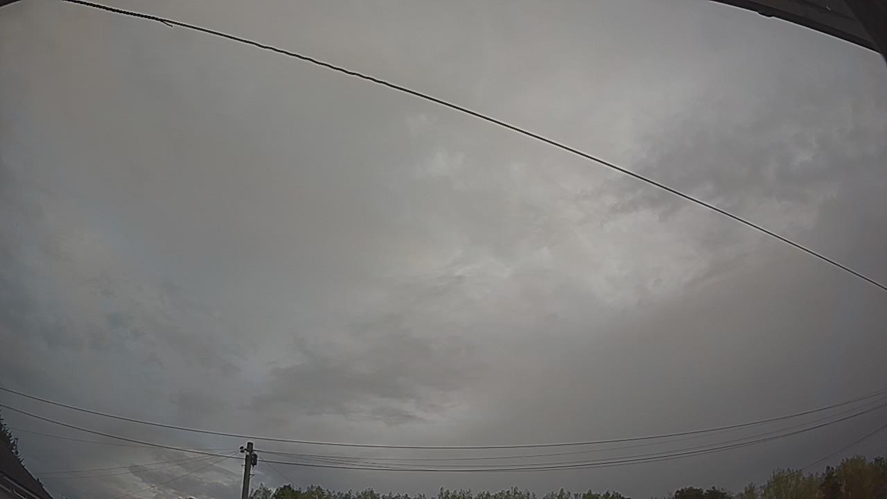 20260816_053837_cam2.jpg