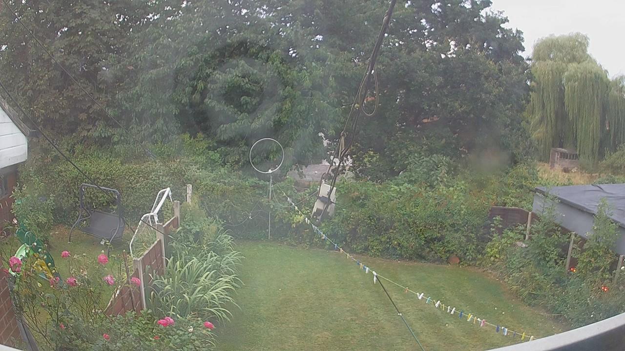 20260816_054330_cam1.jpg