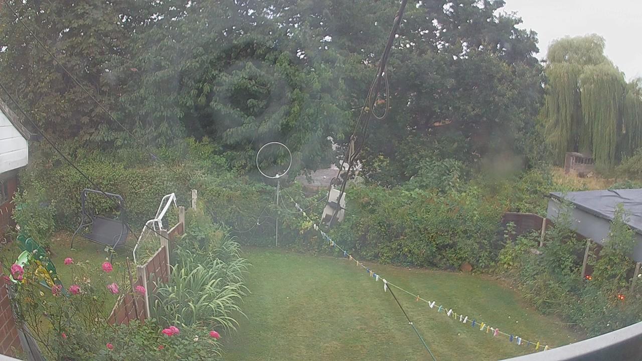 20260816_054824_cam1.jpg