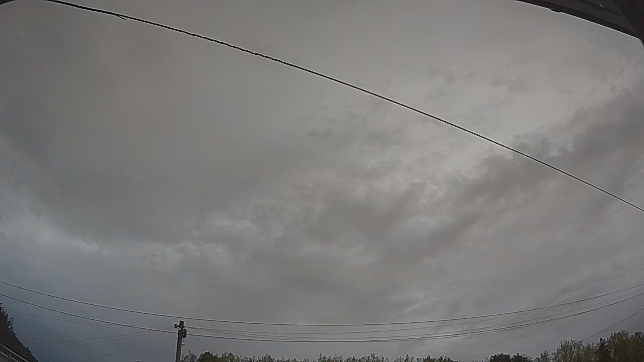 20260816_054825_cam2.jpg