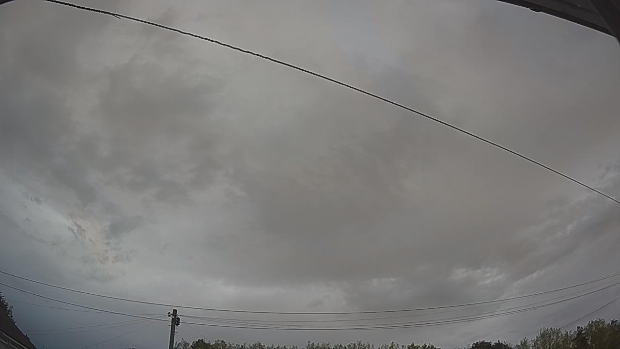 20260816_055319_cam2.jpg
