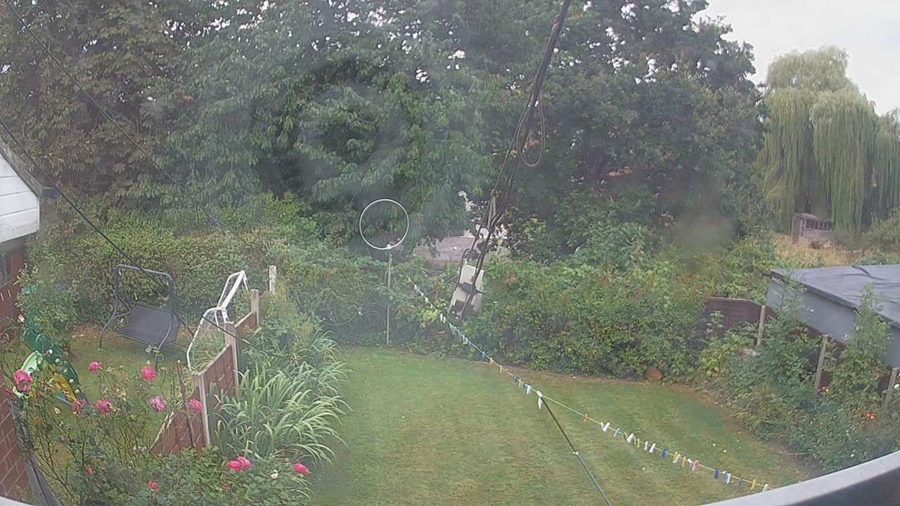 20260816_060248_cam1.jpg