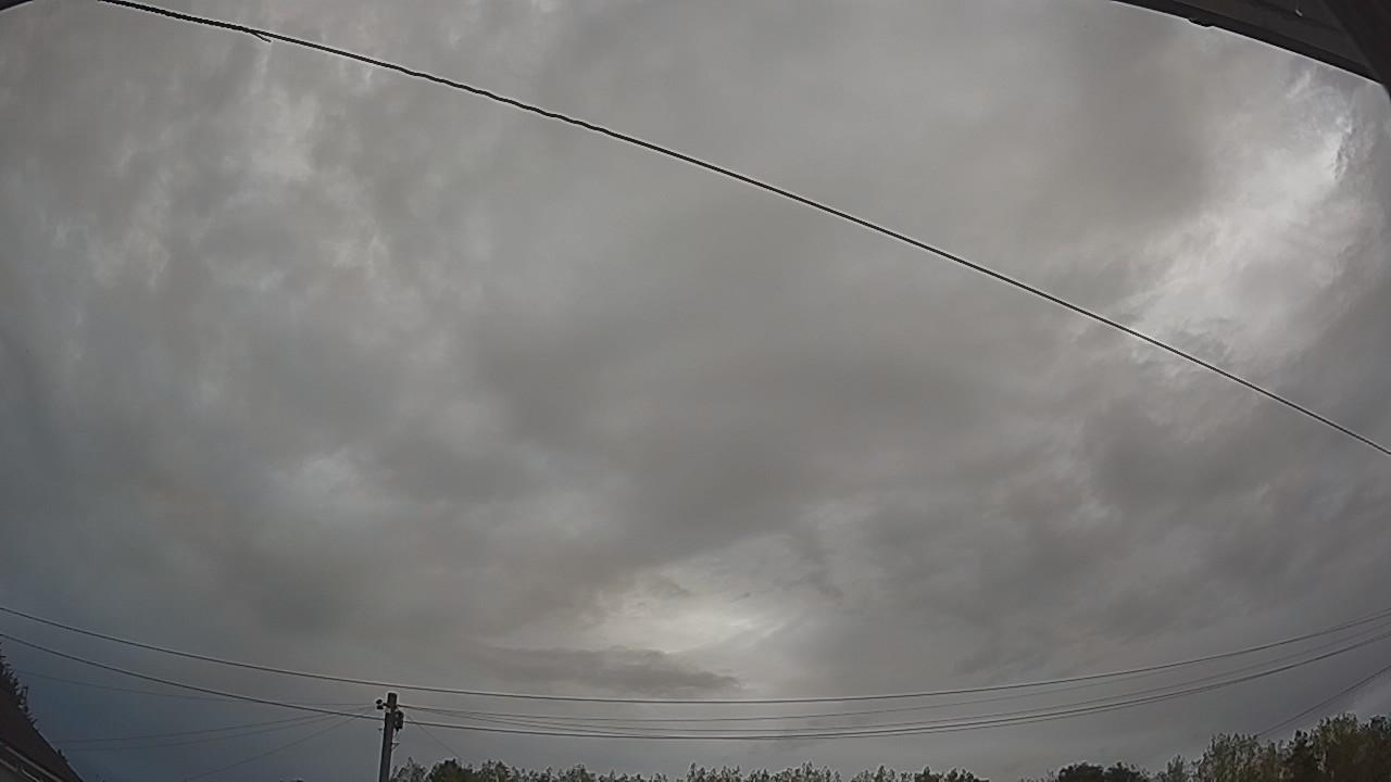 20260816_060249_cam2.jpg