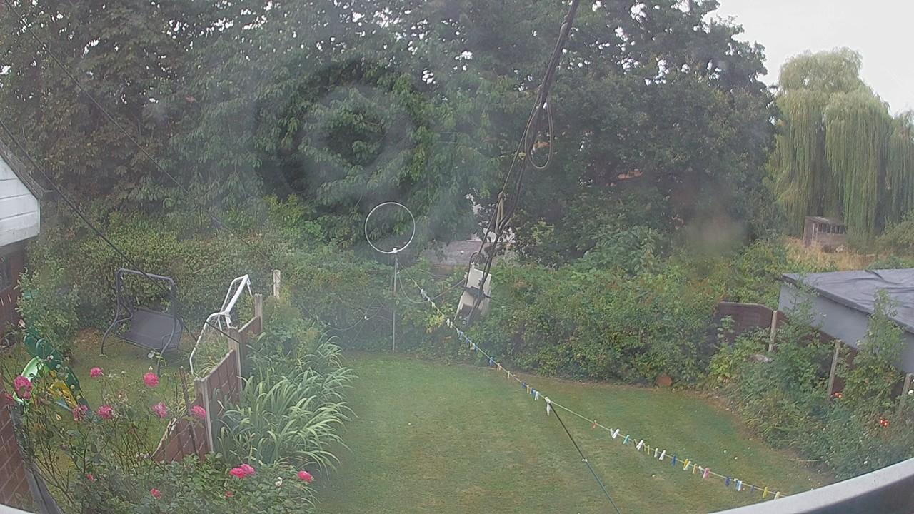 20260816_061200_cam1.jpg