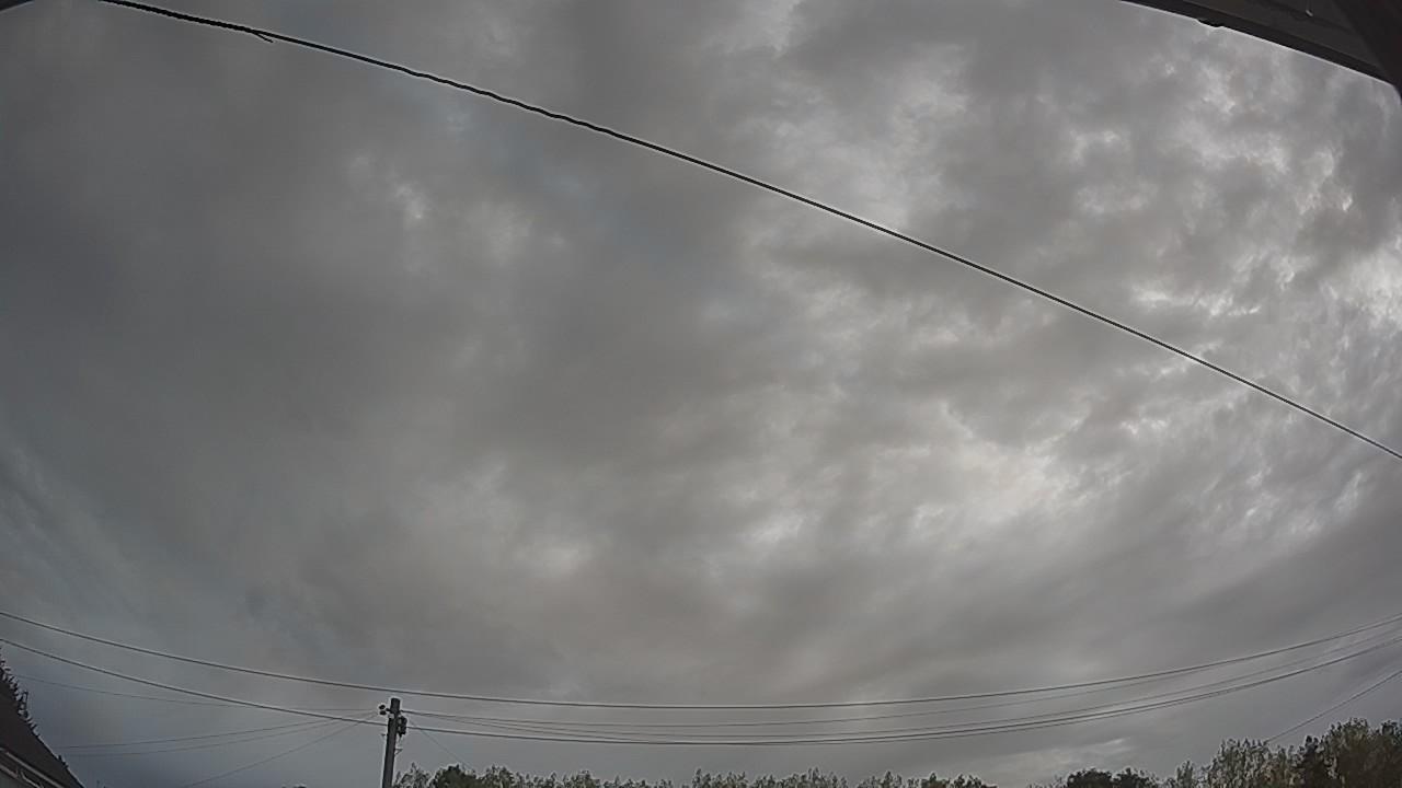 20260816_061201_cam2.jpg