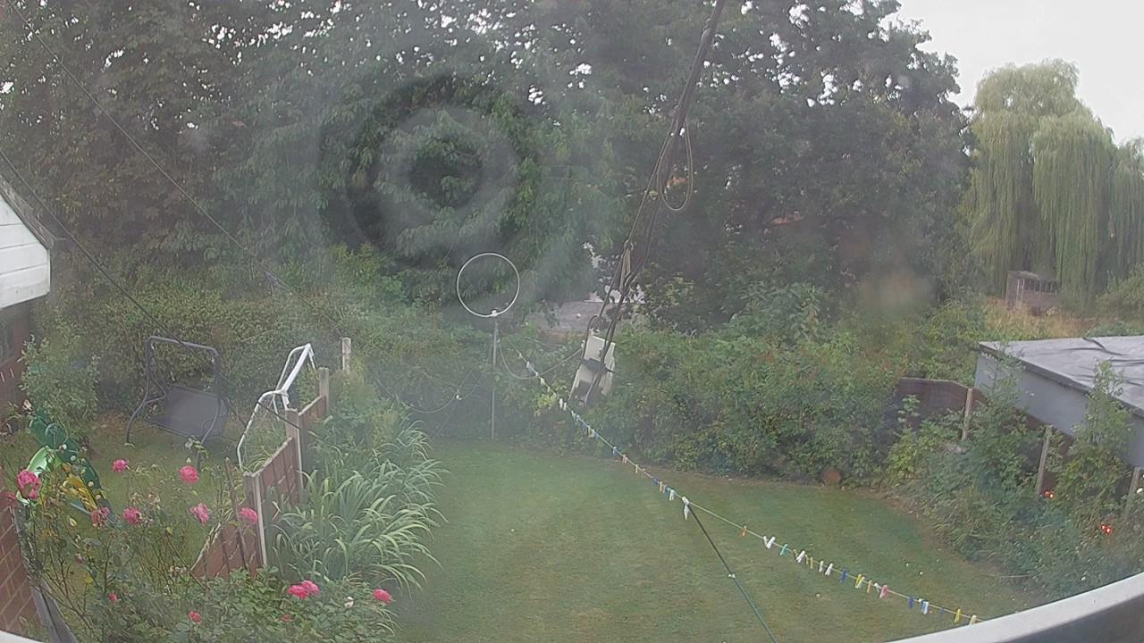 20260816_061636_cam1.jpg