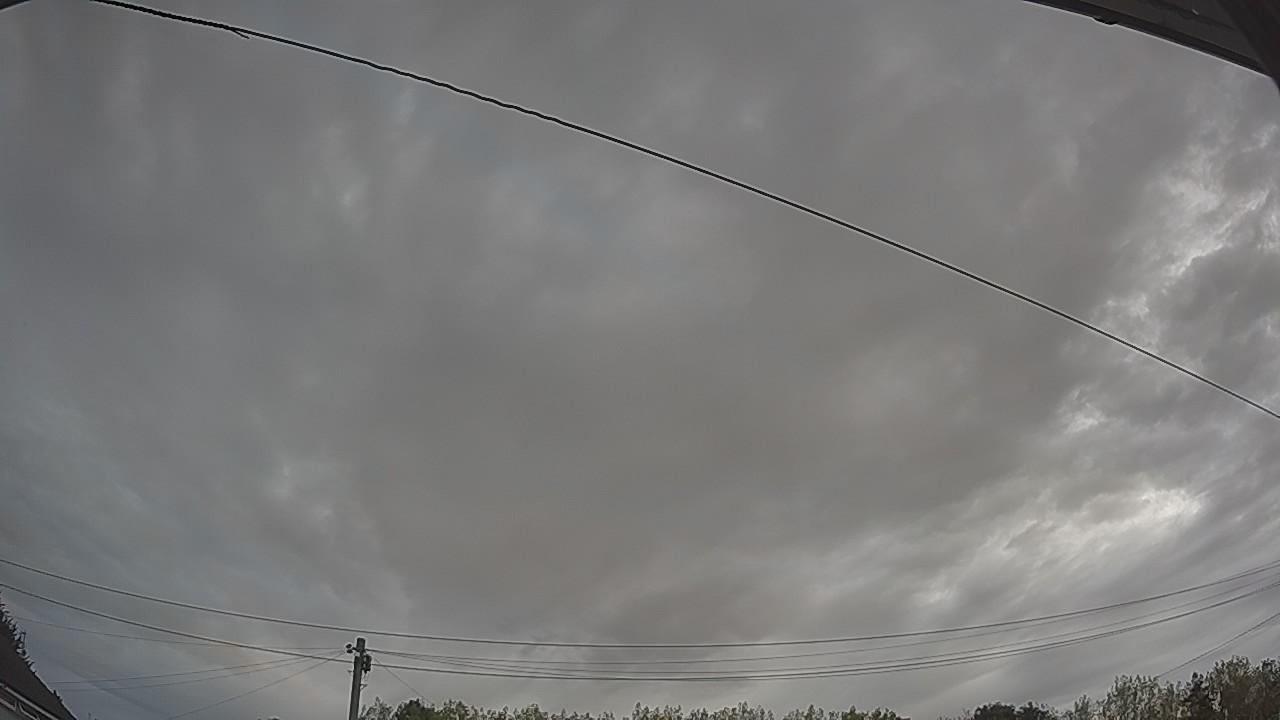 20260816_061637_cam2.jpg