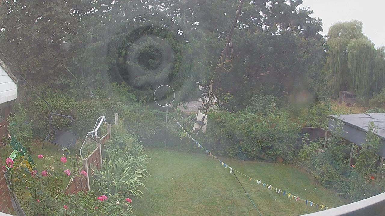 20260816_062113_cam1.jpg
