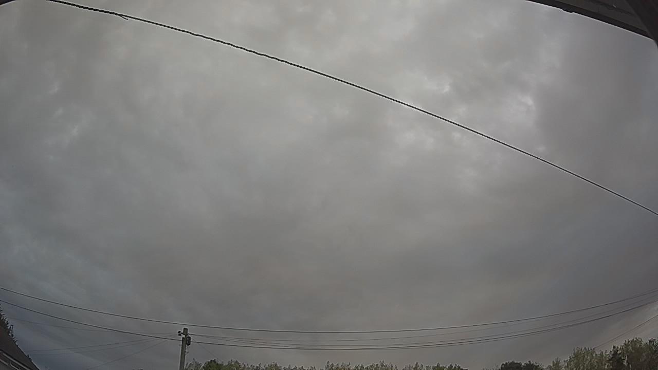 20260816_062550_cam2.jpg