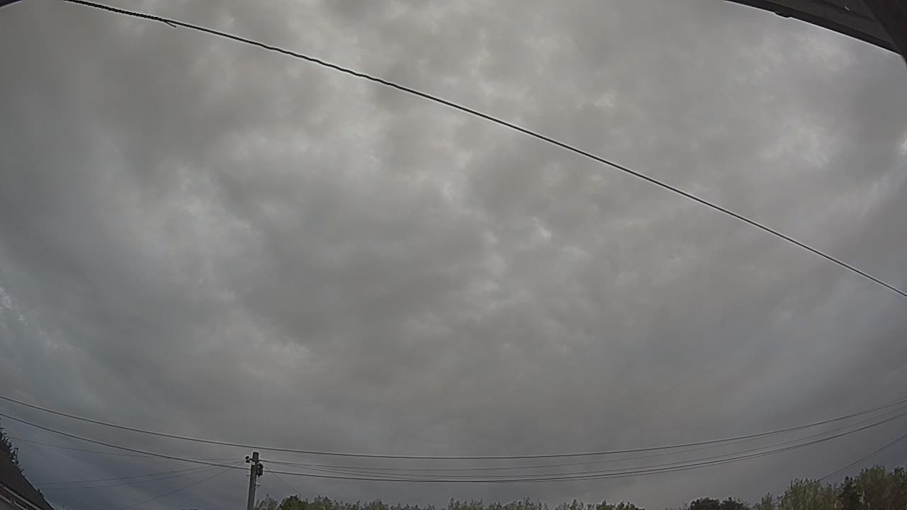 20260816_063035_cam2.jpg