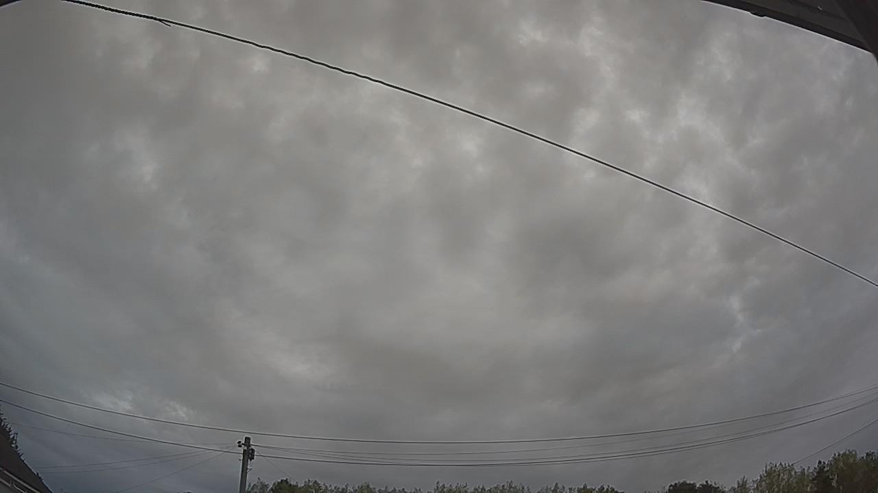 20260816_063520_cam2.jpg