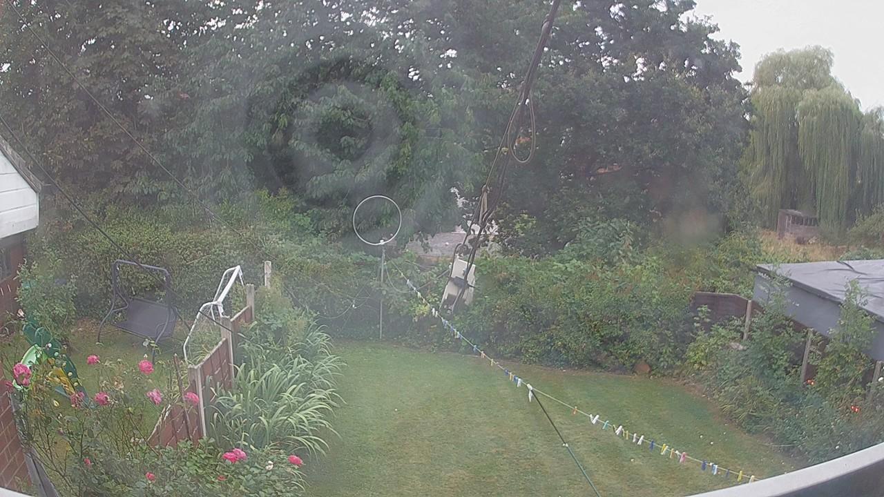 20260816_064005_cam1.jpg