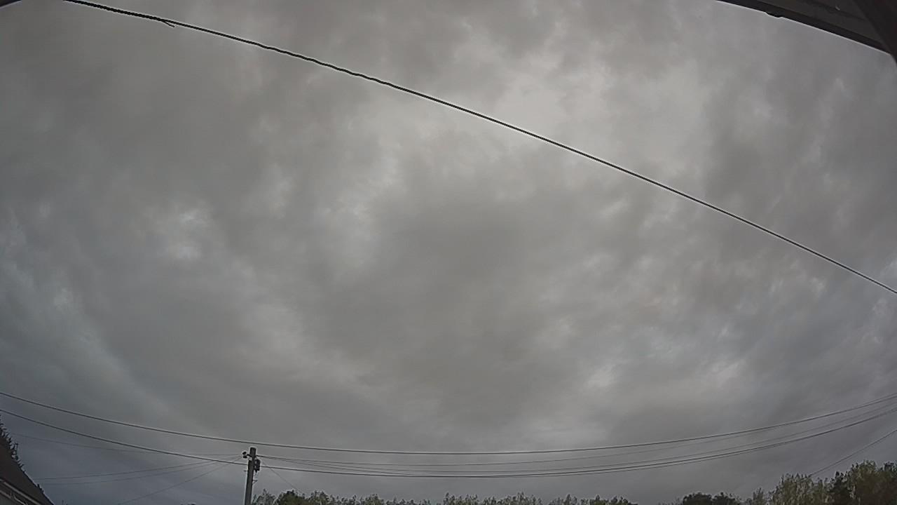 20260816_064006_cam2.jpg
