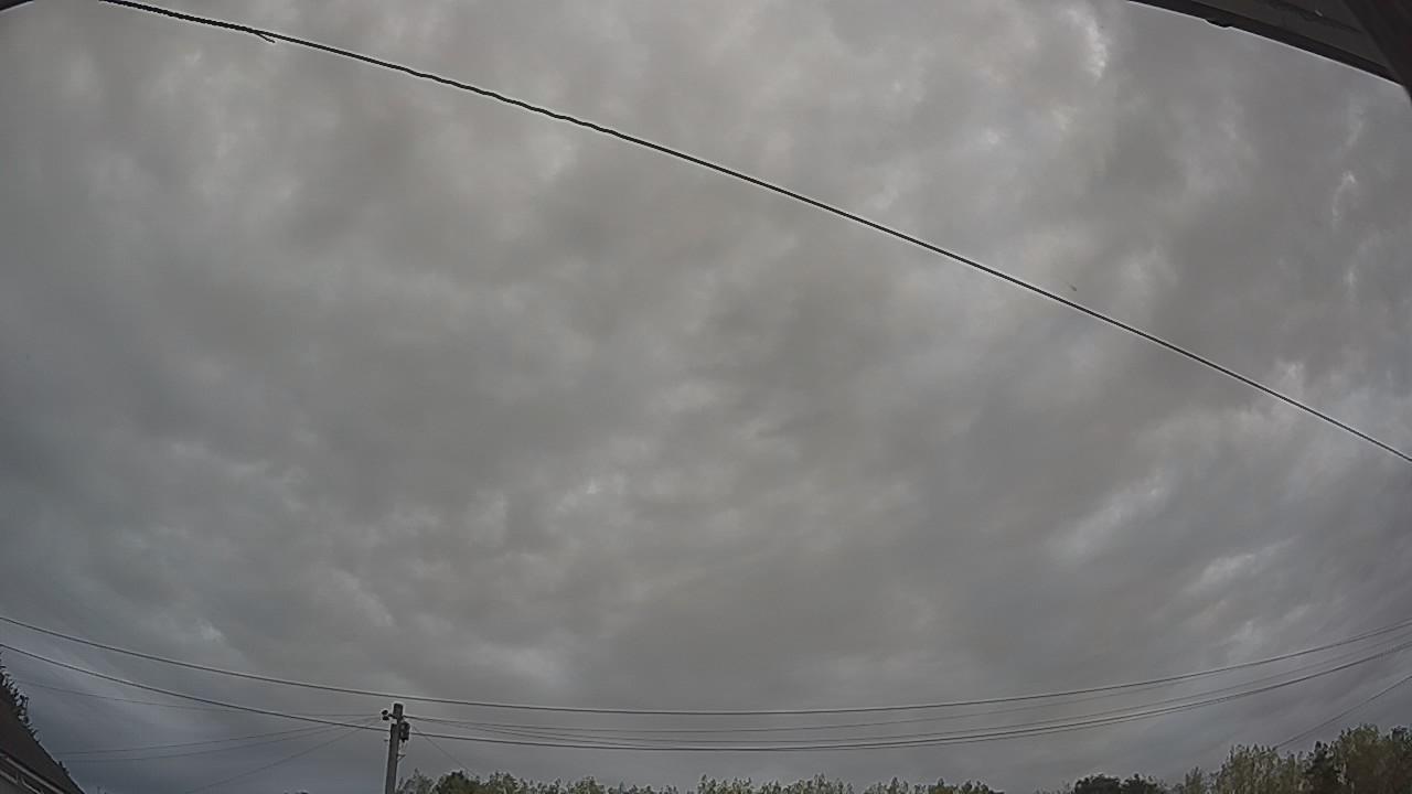 20260816_064451_cam2.jpg