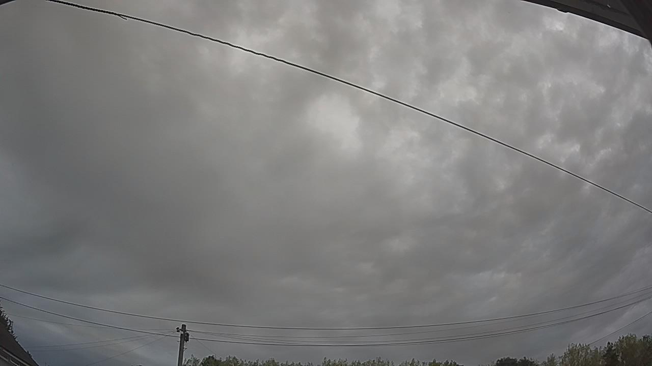 20260816_064936_cam2.jpg