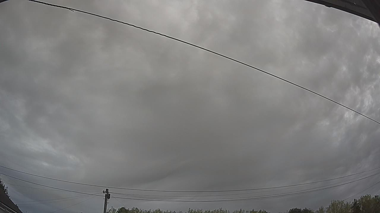 20260816_065421_cam2.jpg