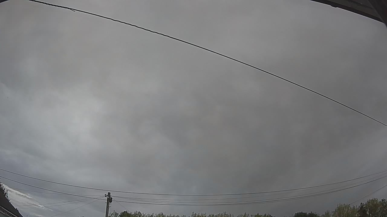 20260816_073703_cam2.jpg