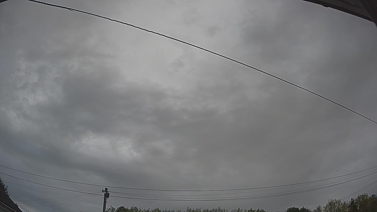 20260816_075117_cam2.jpg