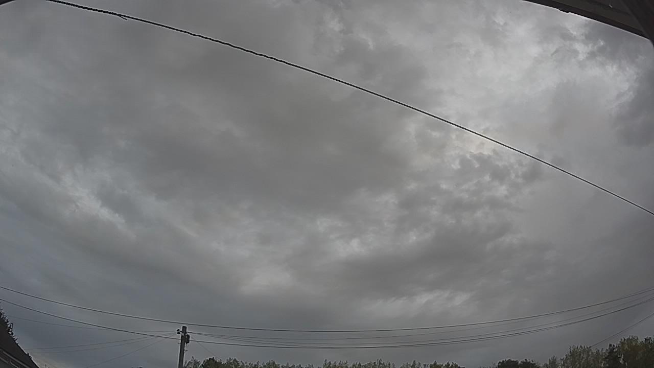 20260816_075602_cam2.jpg