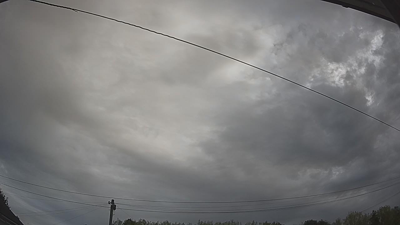 20260816_080047_cam2.jpg