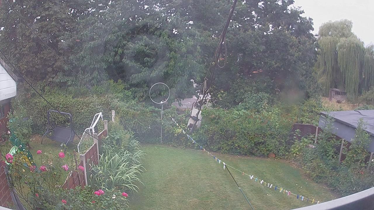 20260816_080532_cam1.jpg